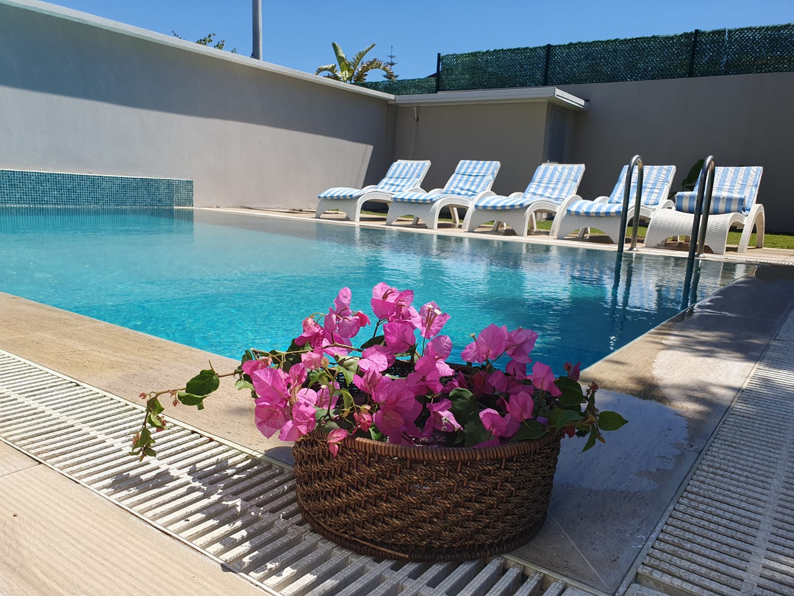 Villa Balaban Zeytin
